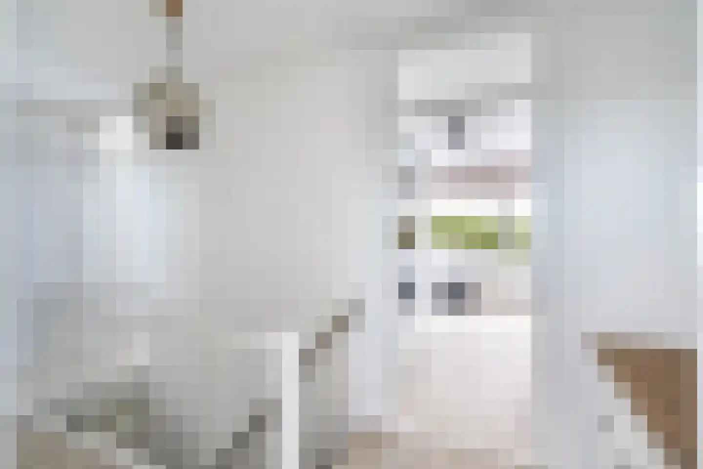 Nijenheim 3231 Zeist thumbnail 19