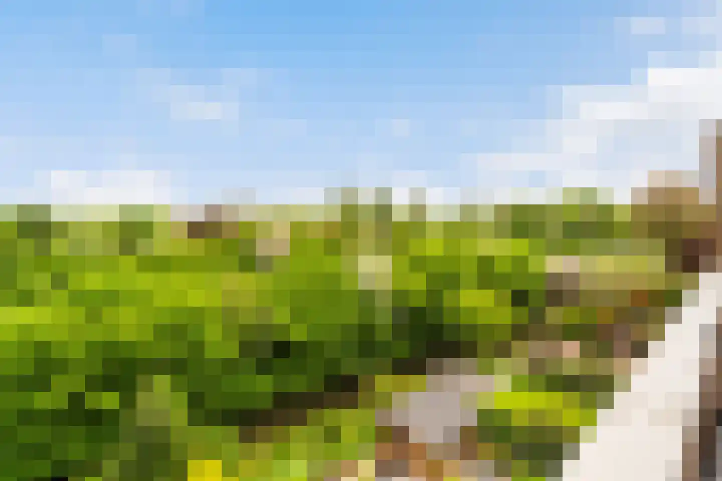Nijenheim 3231 Zeist thumbnail 24