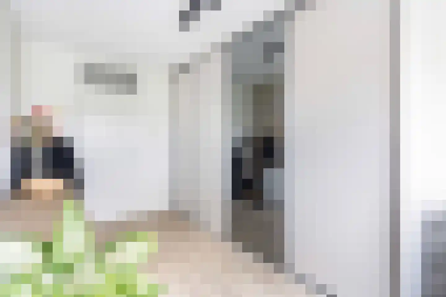 Nijenheim 3231 Zeist thumbnail 26