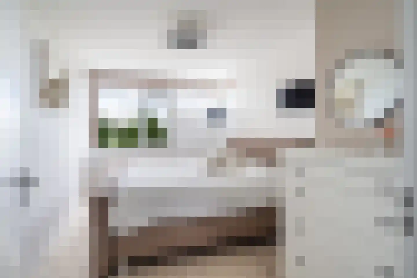 Nijenheim 3231 Zeist thumbnail 27