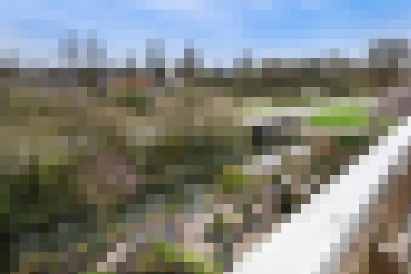 Nijenheim 3245 Zeist thumbnail 20
