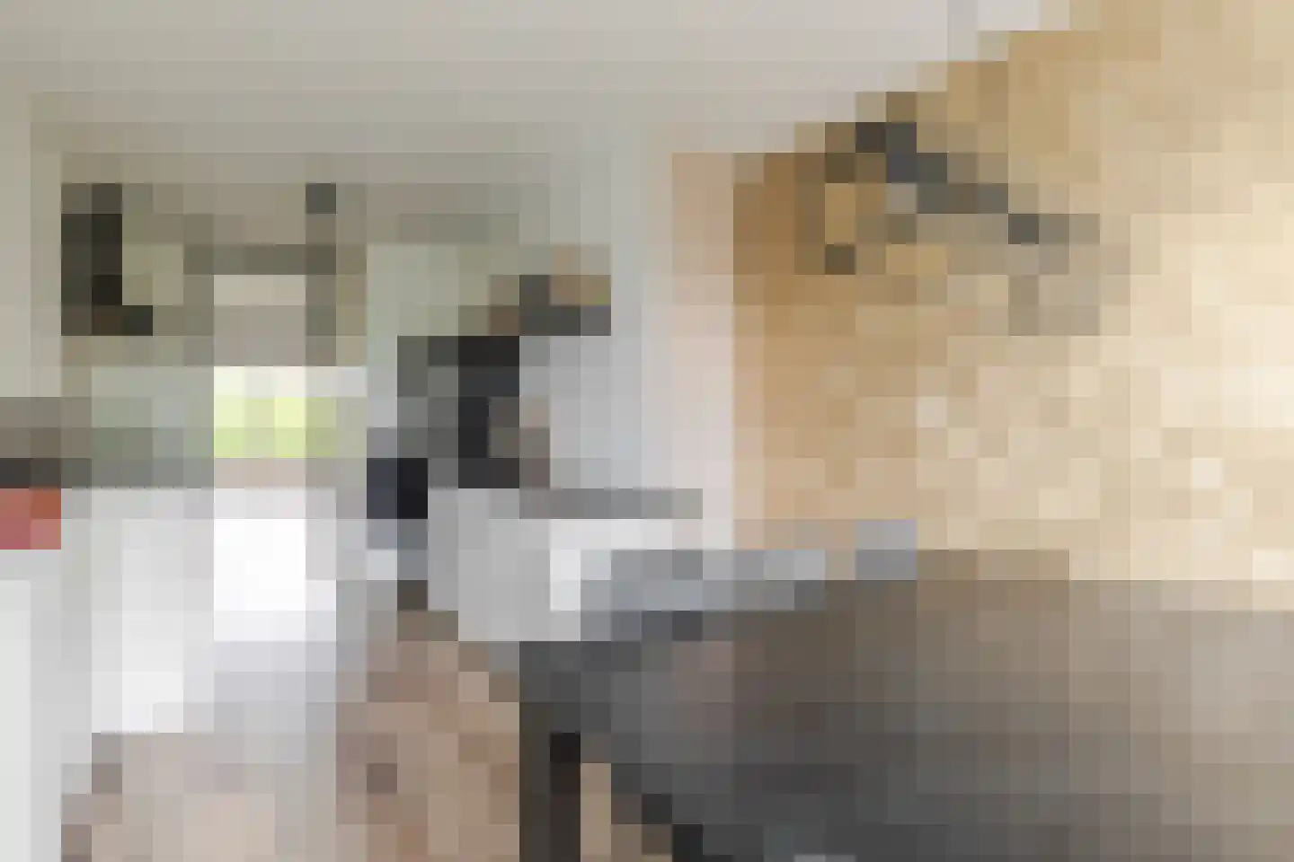 Nijenheim 3253 Zeist thumbnail 10