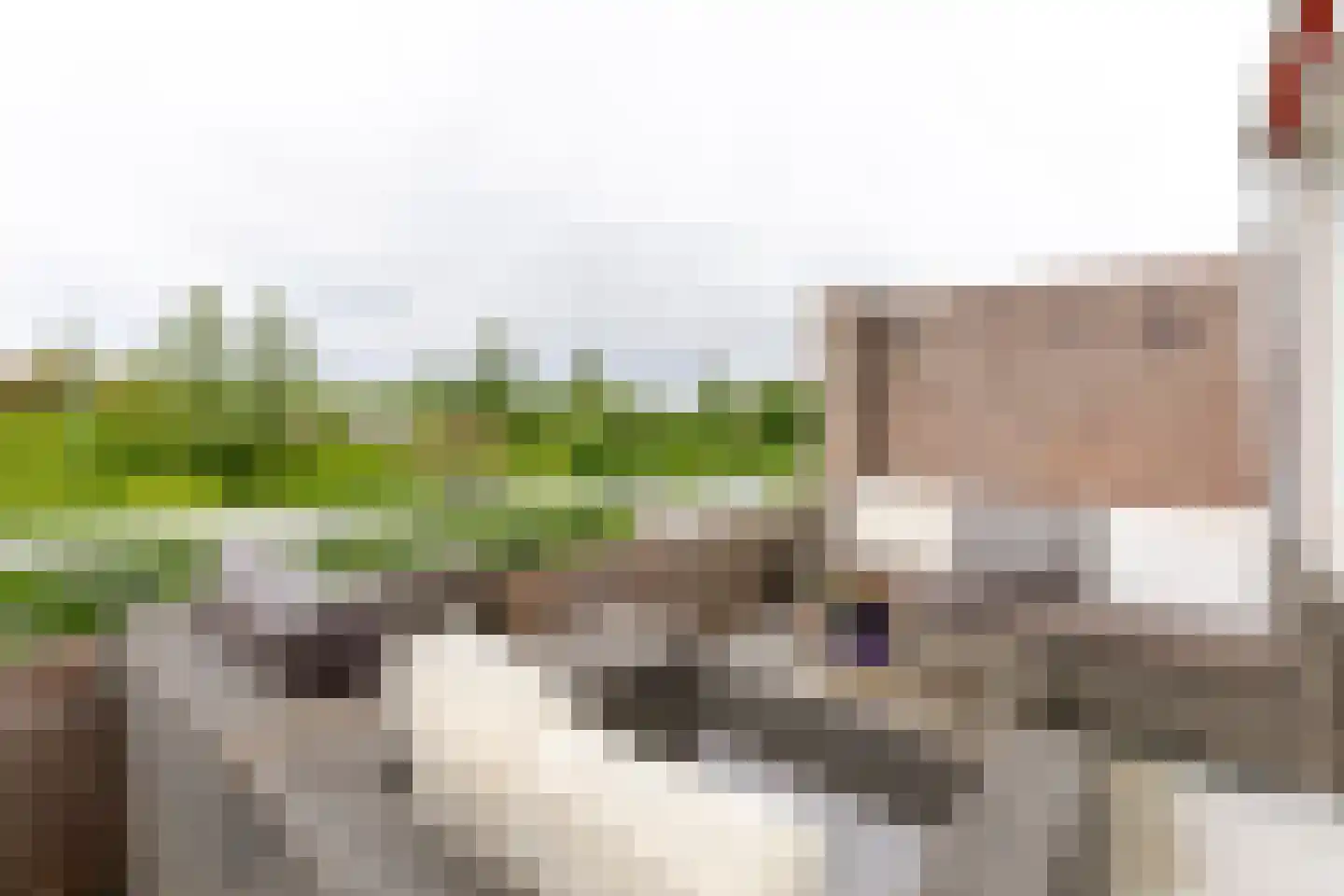 Nijenheim 3253 Zeist thumbnail 16