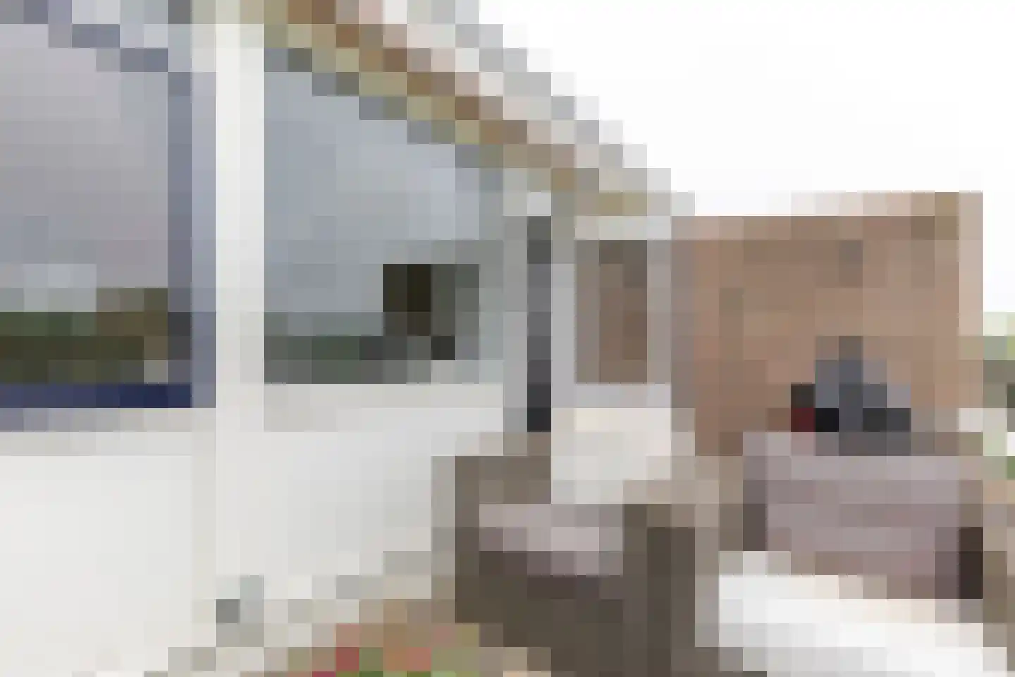 Nijenheim 3253 Zeist thumbnail 17