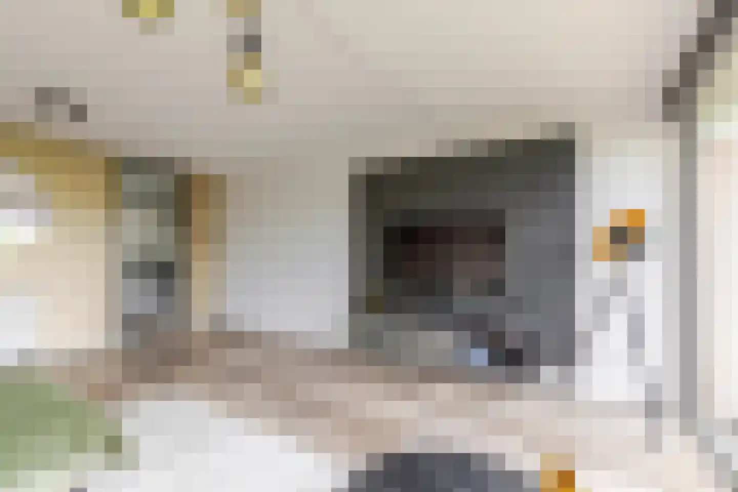 Nijenheim 3253 Zeist thumbnail 4