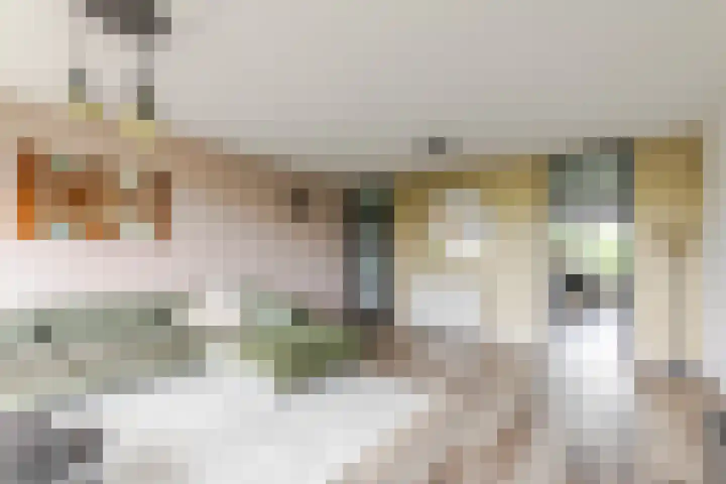 Nijenheim 3253 Zeist thumbnail 5