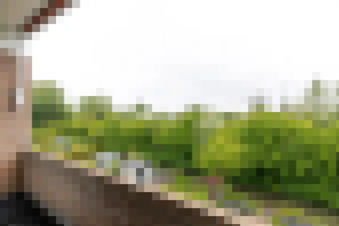Nijenheim 3253 Zeist thumbnail 6