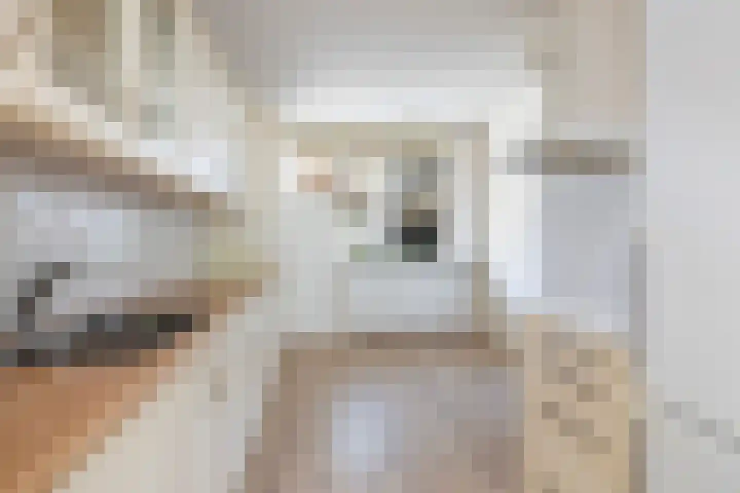 Nijenheim 3269 Zeist thumbnail 12