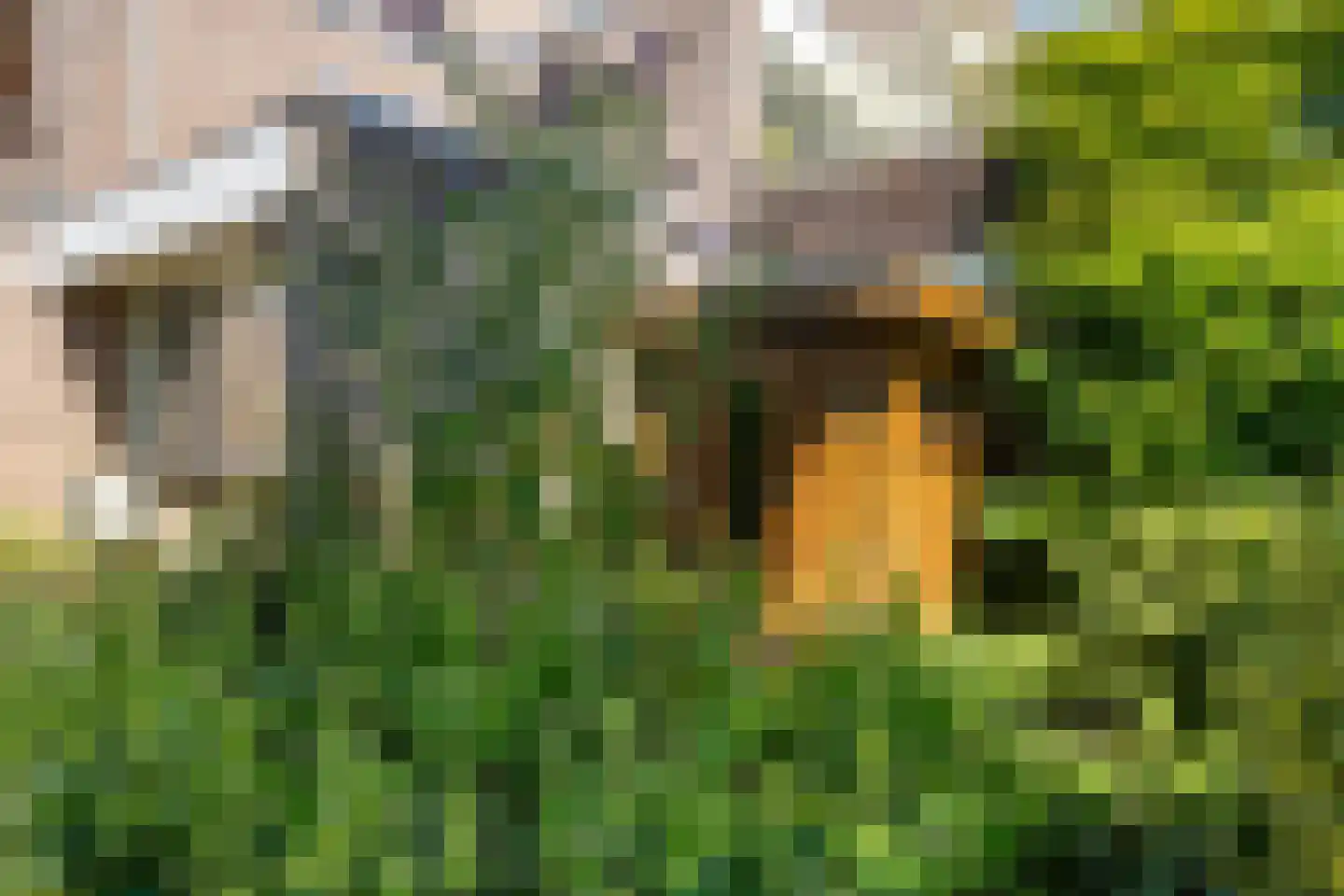 Nijenheim 3269 Zeist thumbnail 21