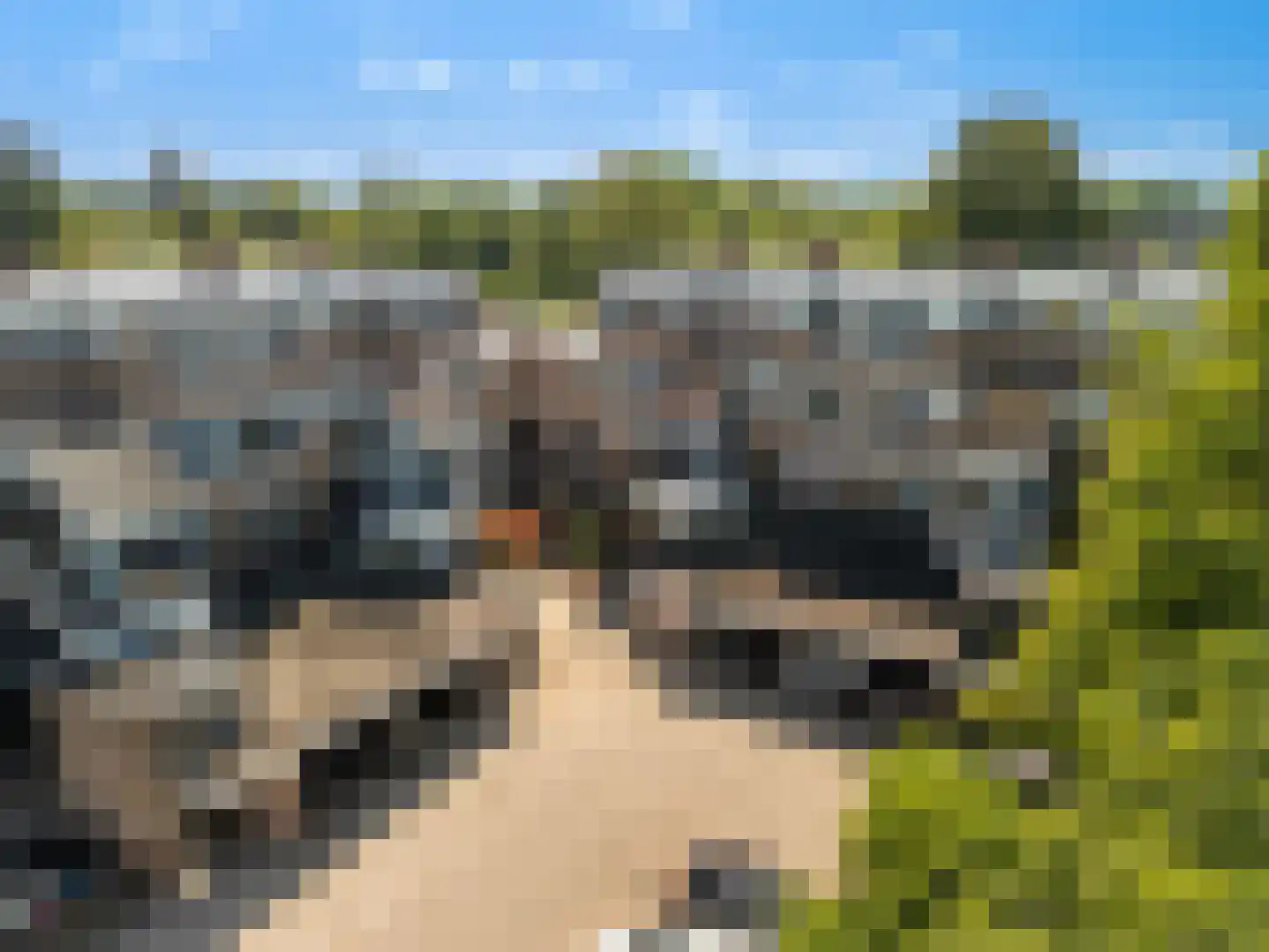 Nijenheim 3269 Zeist thumbnail 28
