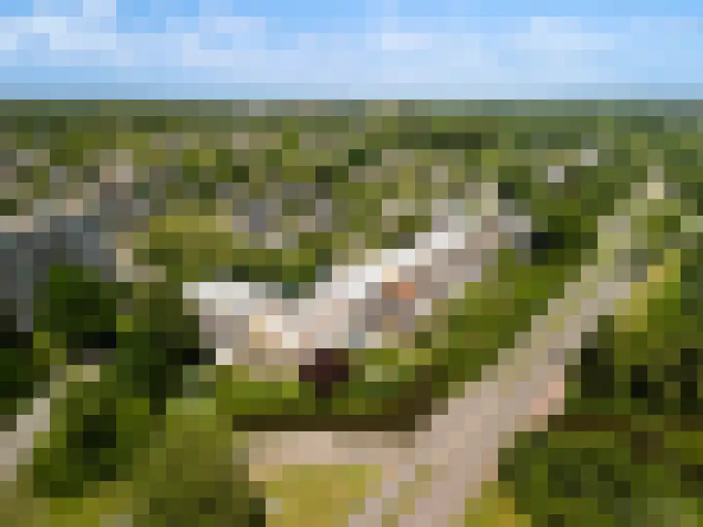 Nijenheim 3269 Zeist thumbnail 29