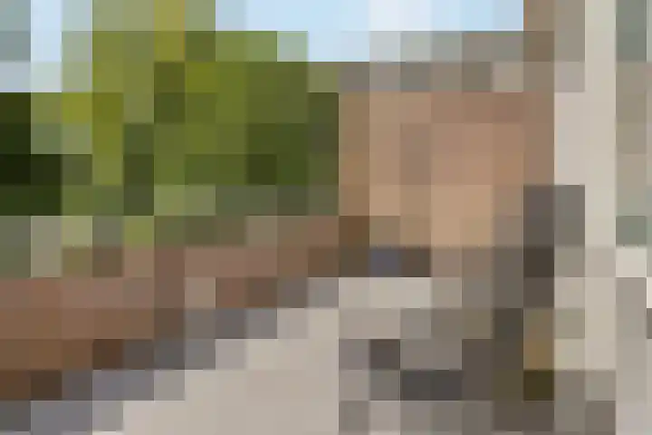 Nijenheim 3285 Zeist thumbnail 30