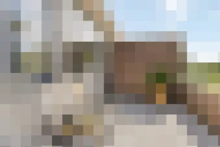 Nijenheim 3285 Zeist thumbnail 31