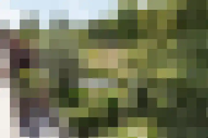 Nijenheim 3285 Zeist thumbnail 32