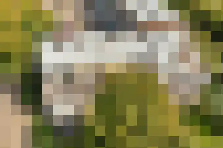 Nijenheim 3285 Zeist thumbnail 39