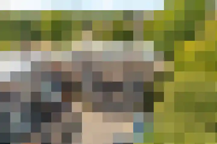 Nijenheim 3285 Zeist thumbnail 40