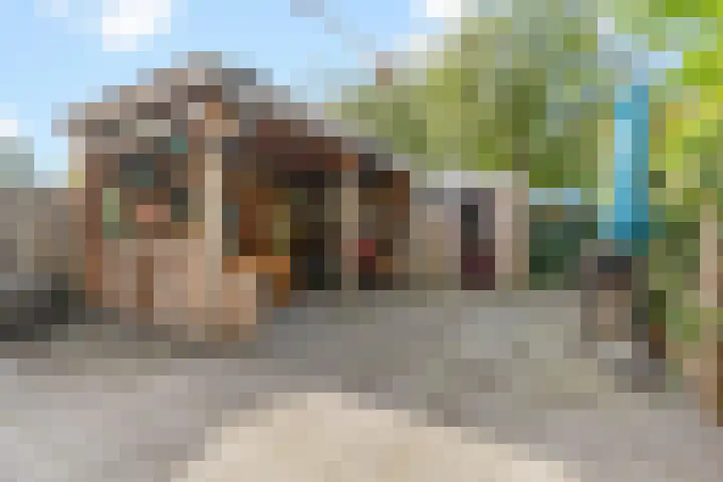 Nijenheim 3333 Zeist thumbnail 15
