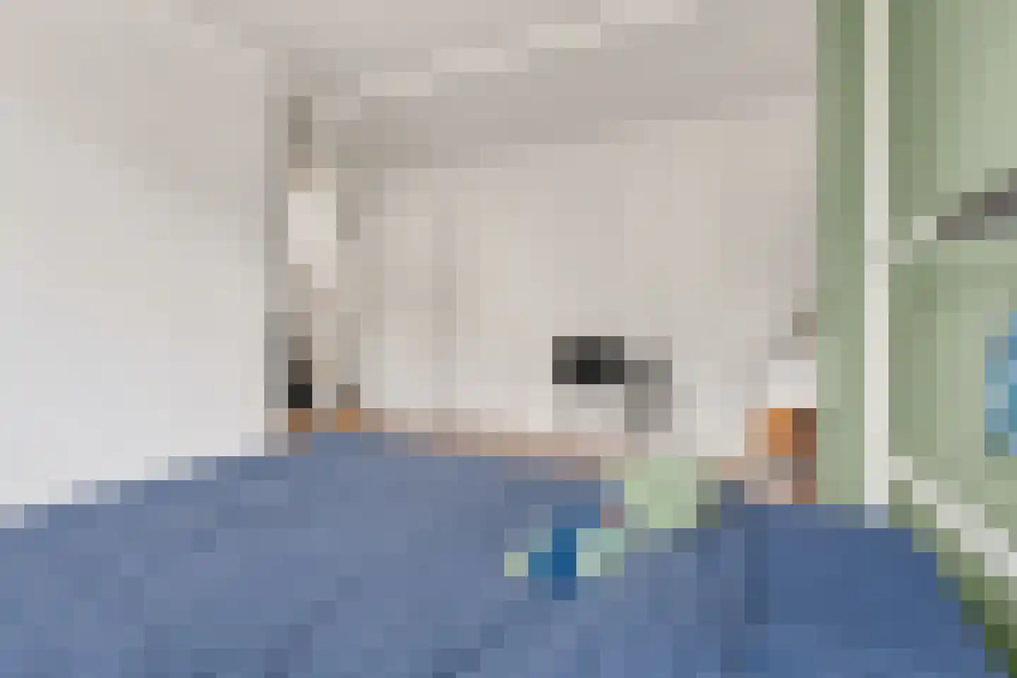 Nijenheim 3333 Zeist thumbnail 20