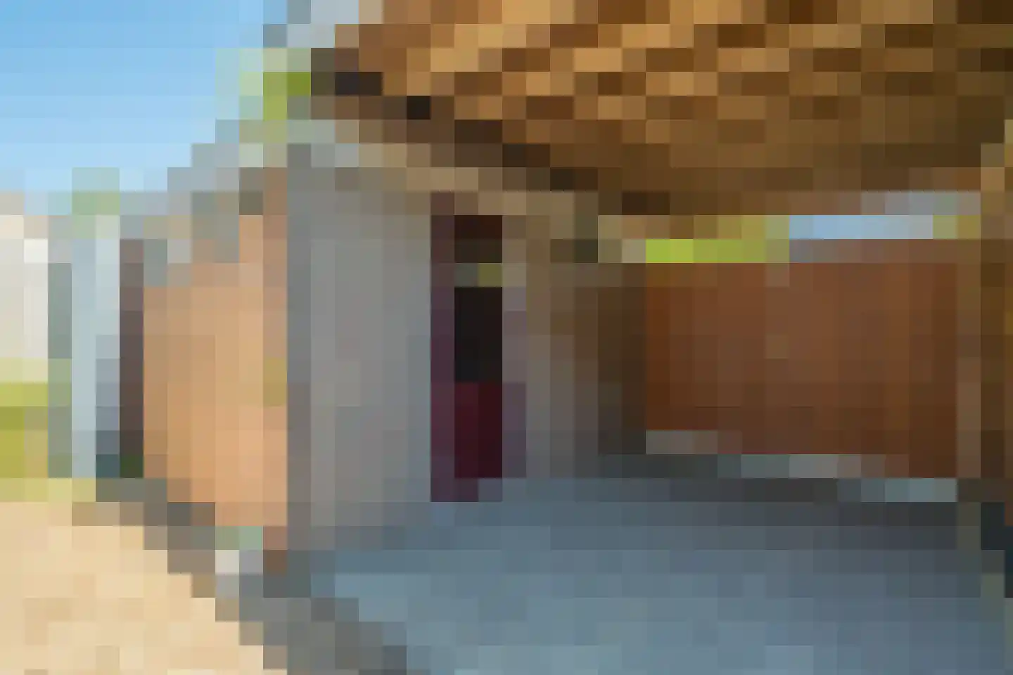 Nijenheim 3341 Zeist thumbnail 19