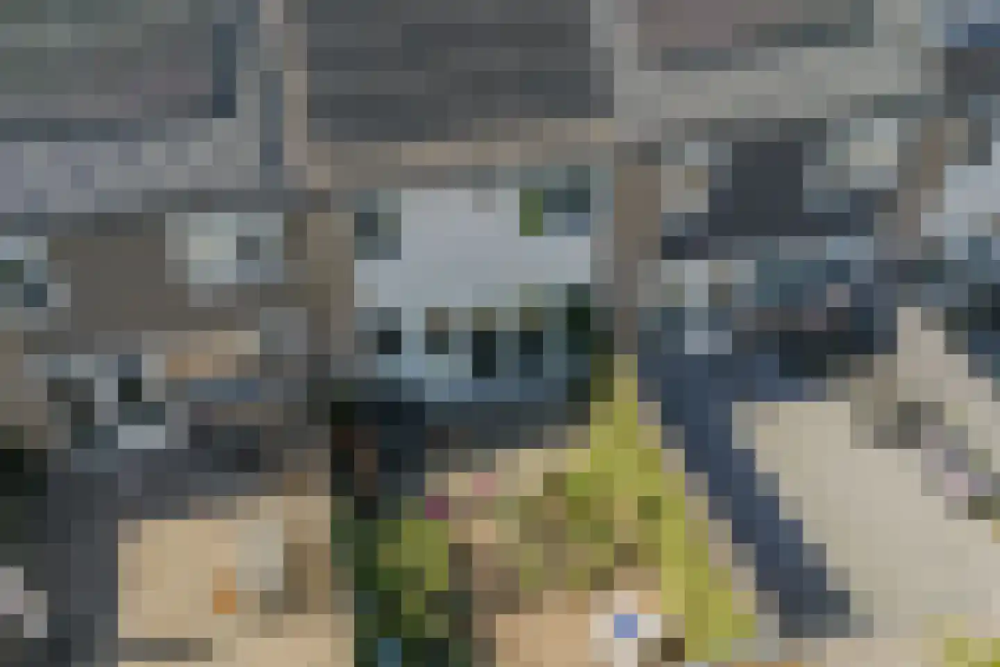 Nijenheim 3341 Zeist thumbnail 20