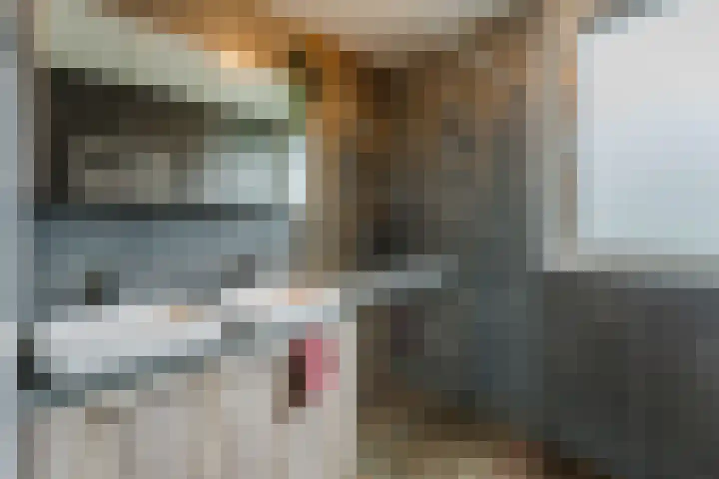 Nijenheim 3341 Zeist thumbnail 37