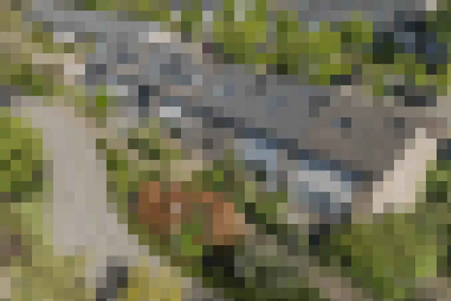 Nijenheim 3341 Zeist thumbnail 51
