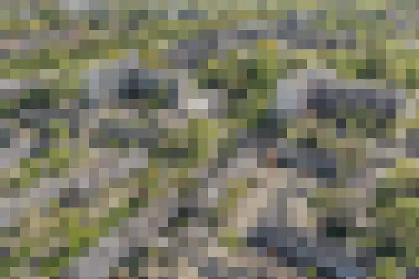 Nijenheim 3341 Zeist thumbnail 60