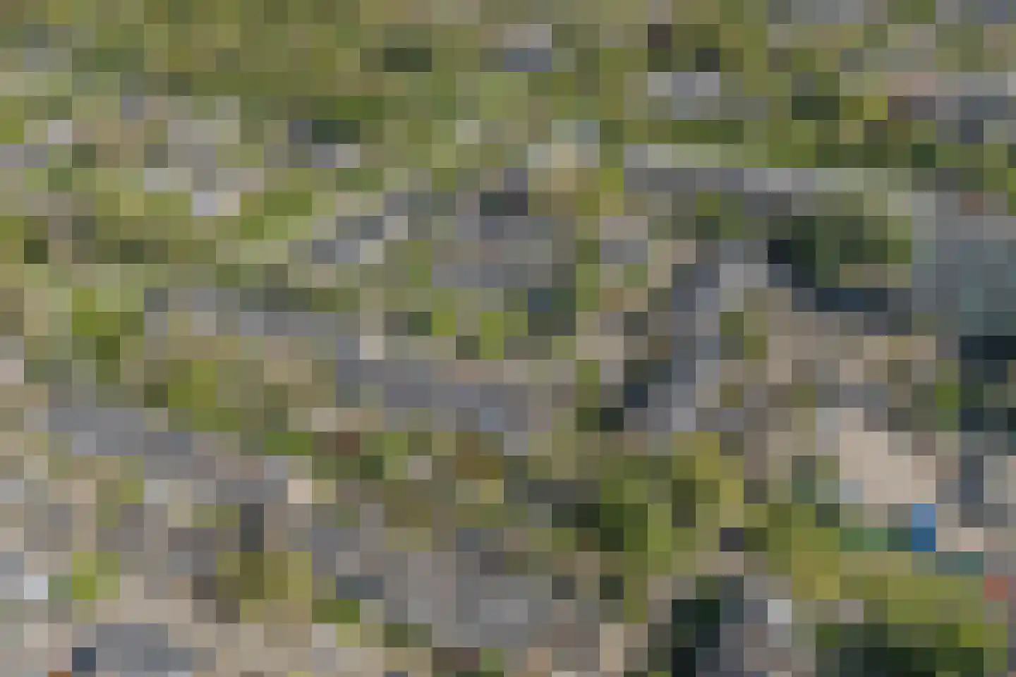 Nijenheim 3341 Zeist thumbnail 61