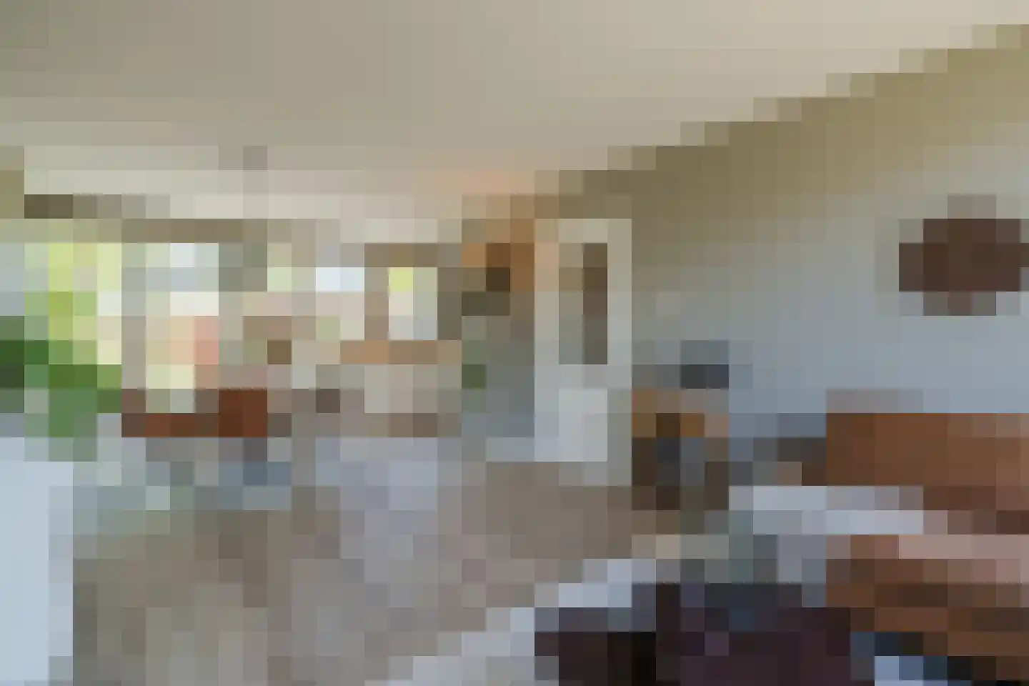 Nijenheim 3341 Zeist thumbnail 9