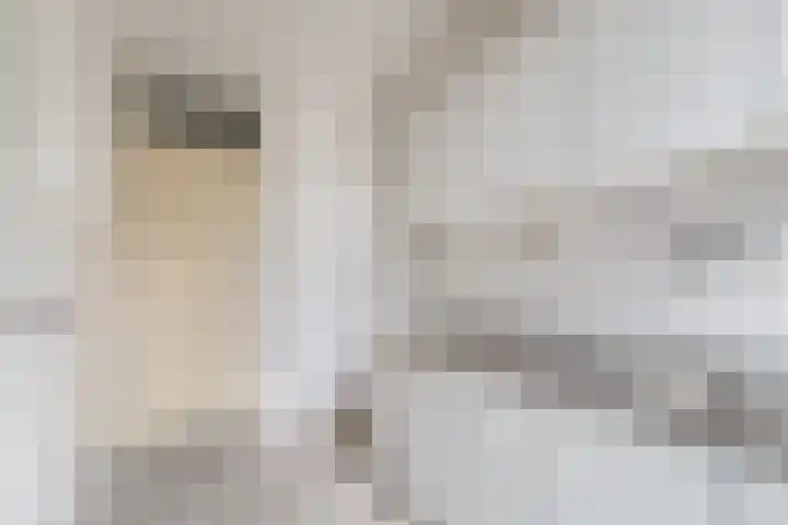 Nijenheim 5121 Zeist thumbnail 10