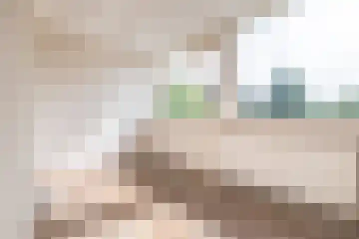 Nijenheim 5121 Zeist thumbnail 13