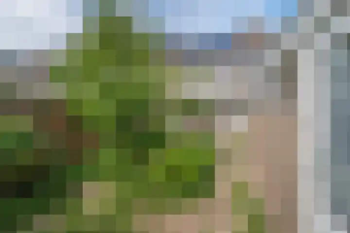 Nijenheim 5121 Zeist thumbnail 25