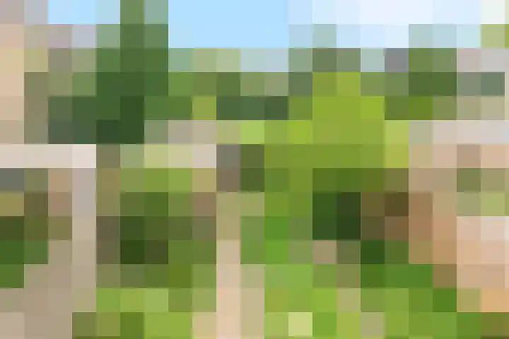 Nijenheim 5121 Zeist thumbnail 26