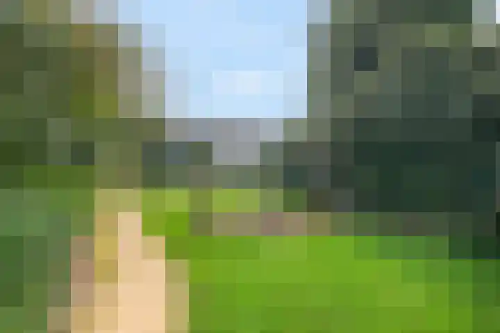 Nijenheim 5121 Zeist thumbnail 27