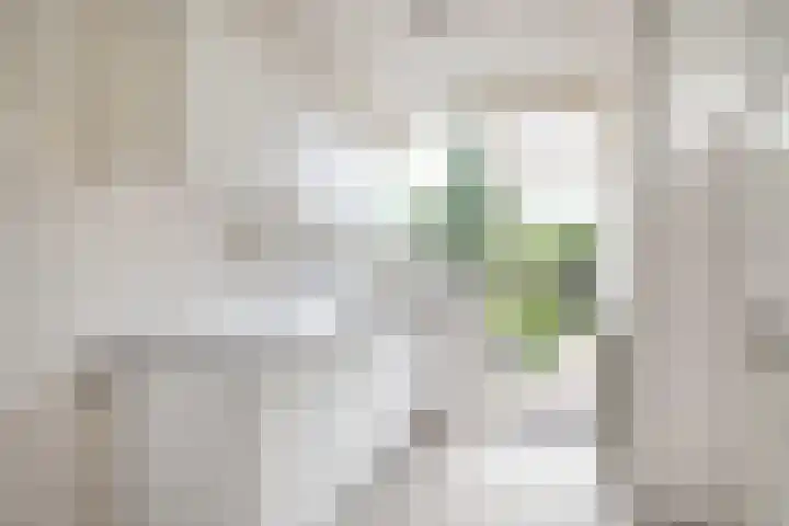Nijenheim 5121 Zeist thumbnail 9