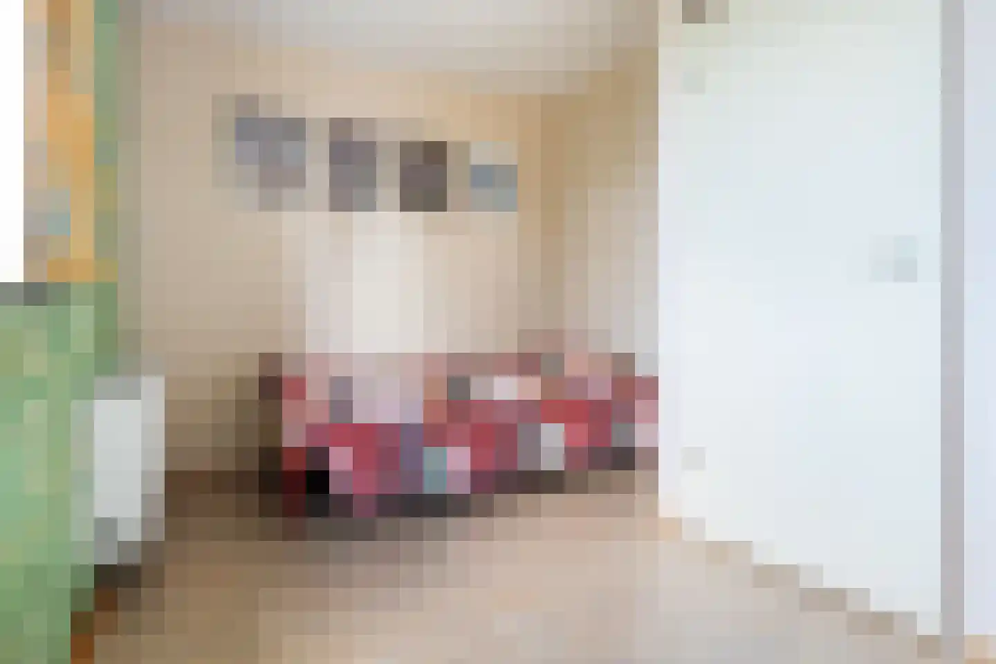 Nijenheim 5201 Zeist thumbnail 20
