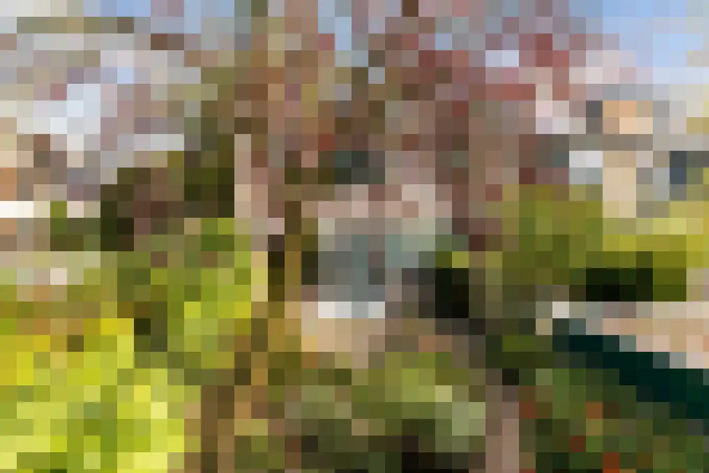 Nijenheim 5201 Zeist thumbnail 37