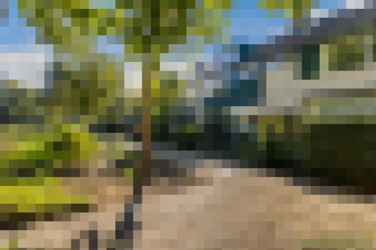 Nijenheim 5201 Zeist thumbnail 38