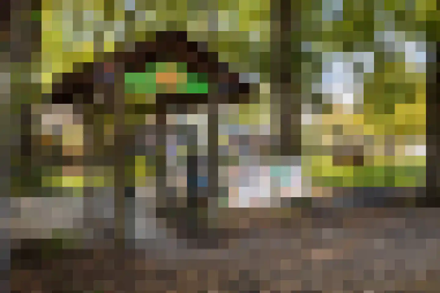 Nijenheim 5201 Zeist thumbnail 40