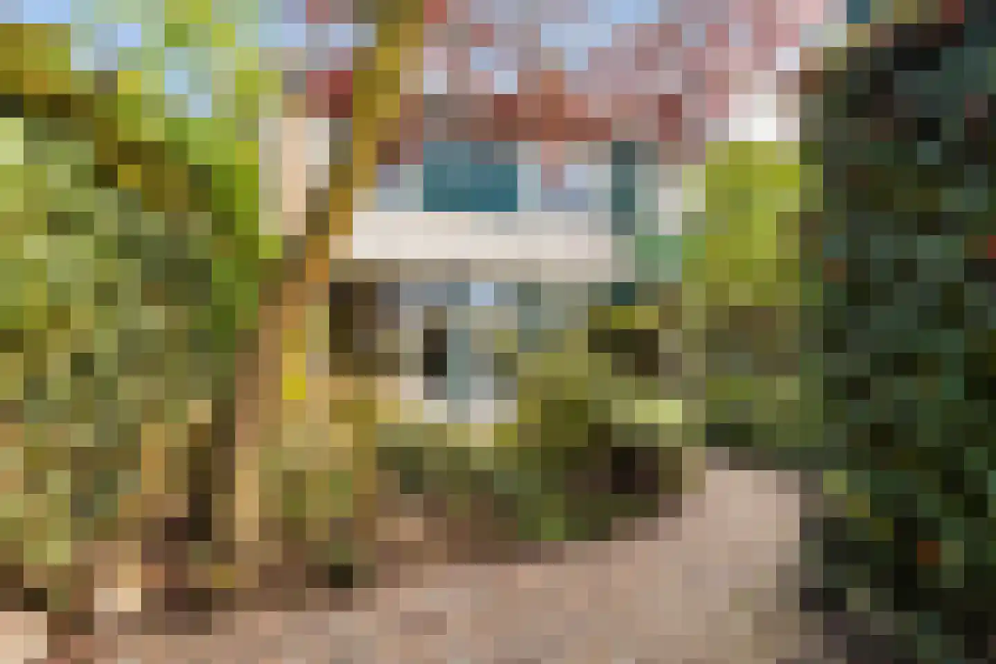 Nijenheim 5201 Zeist thumbnail 7
