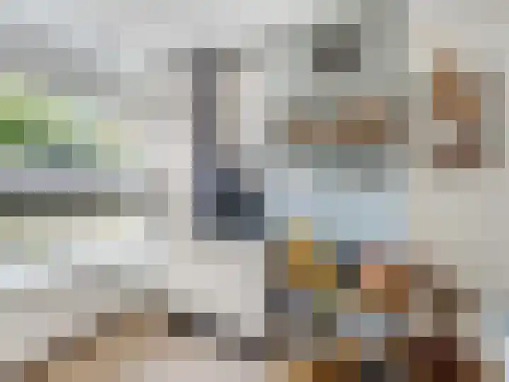 Nijenheim 6022 Zeist thumbnail 15