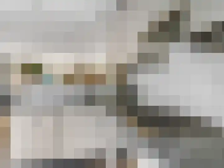 Nijenheim 6022 Zeist thumbnail 17