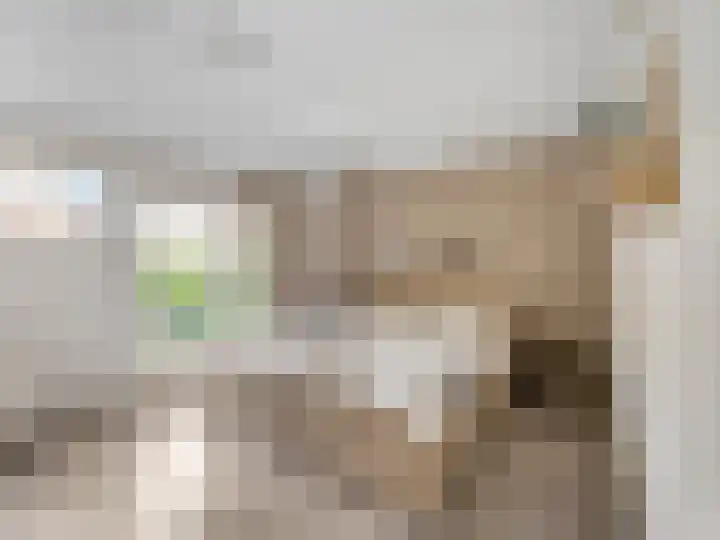 Nijenheim 6022 Zeist thumbnail 22