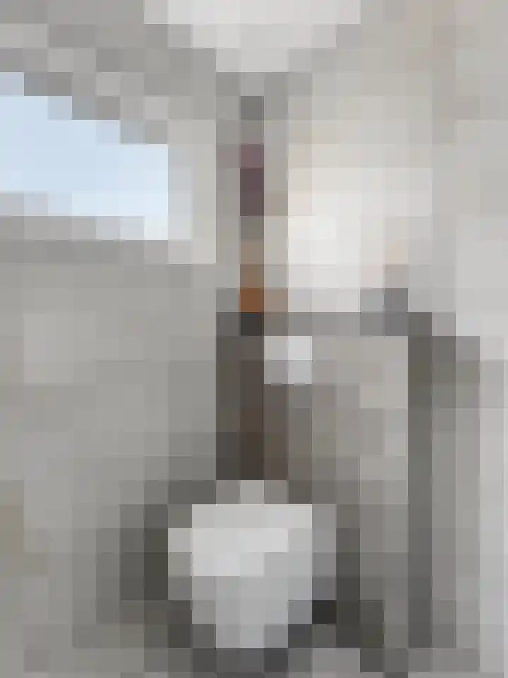 Nijenheim 6022 Zeist thumbnail 30