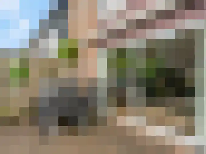 Nijenheim 6022 Zeist thumbnail 39