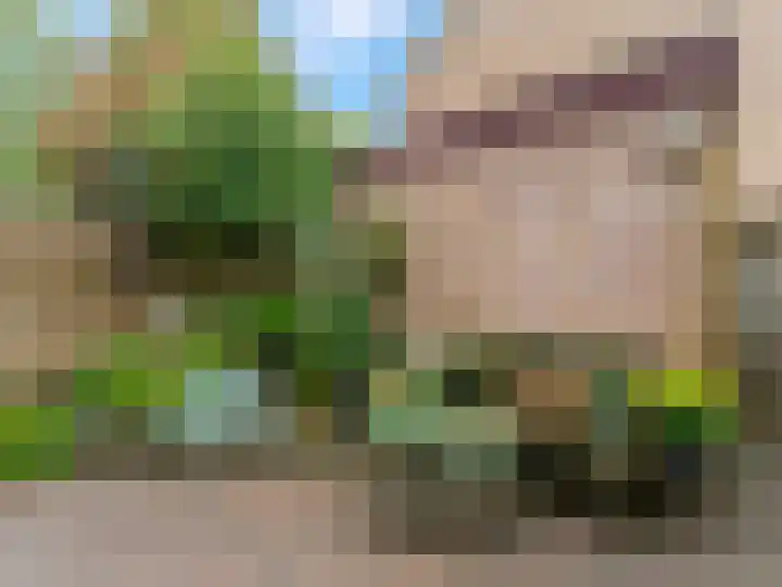 Nijenheim 6022 Zeist thumbnail 41