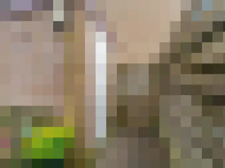 Nijenheim 6022 Zeist thumbnail 42
