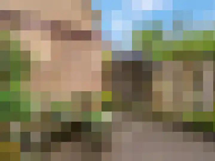 Nijenheim 6022 Zeist thumbnail 45