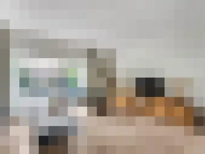 Nijenheim 6022 Zeist thumbnail 5
