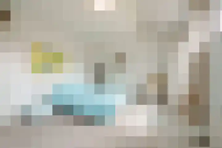 Nijenheim 6035 Zeist thumbnail 13